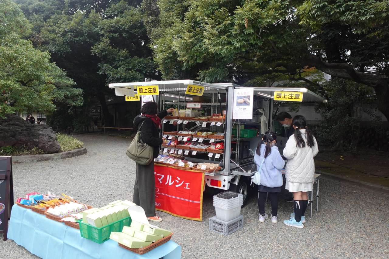 旧古河庭園251123グランデュオ