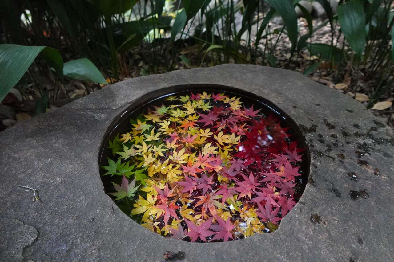 旧古河庭園251125手水鉢 (1)