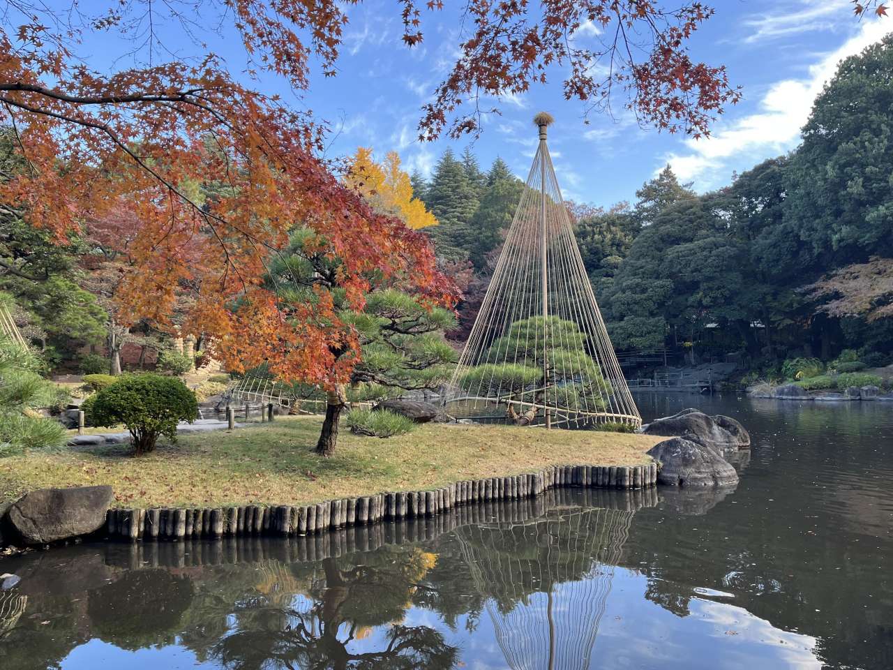 旧古河庭園251201日本庭園