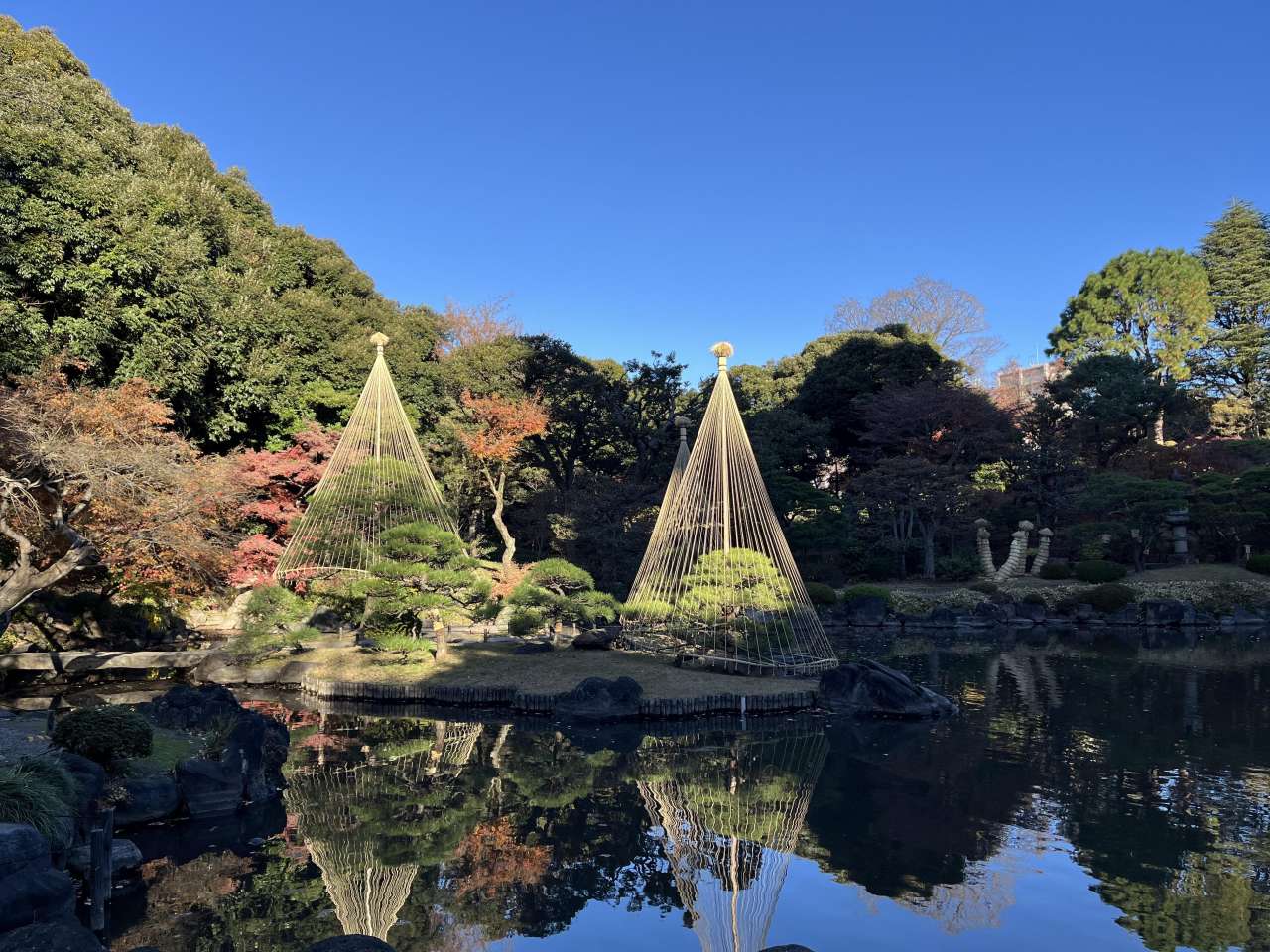 旧古河庭園251204日本庭園 (5)