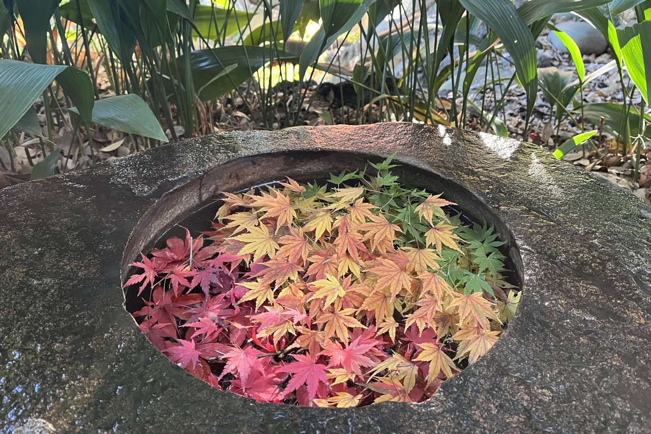 旧古河庭園251205手水鉢 (2) - コピー