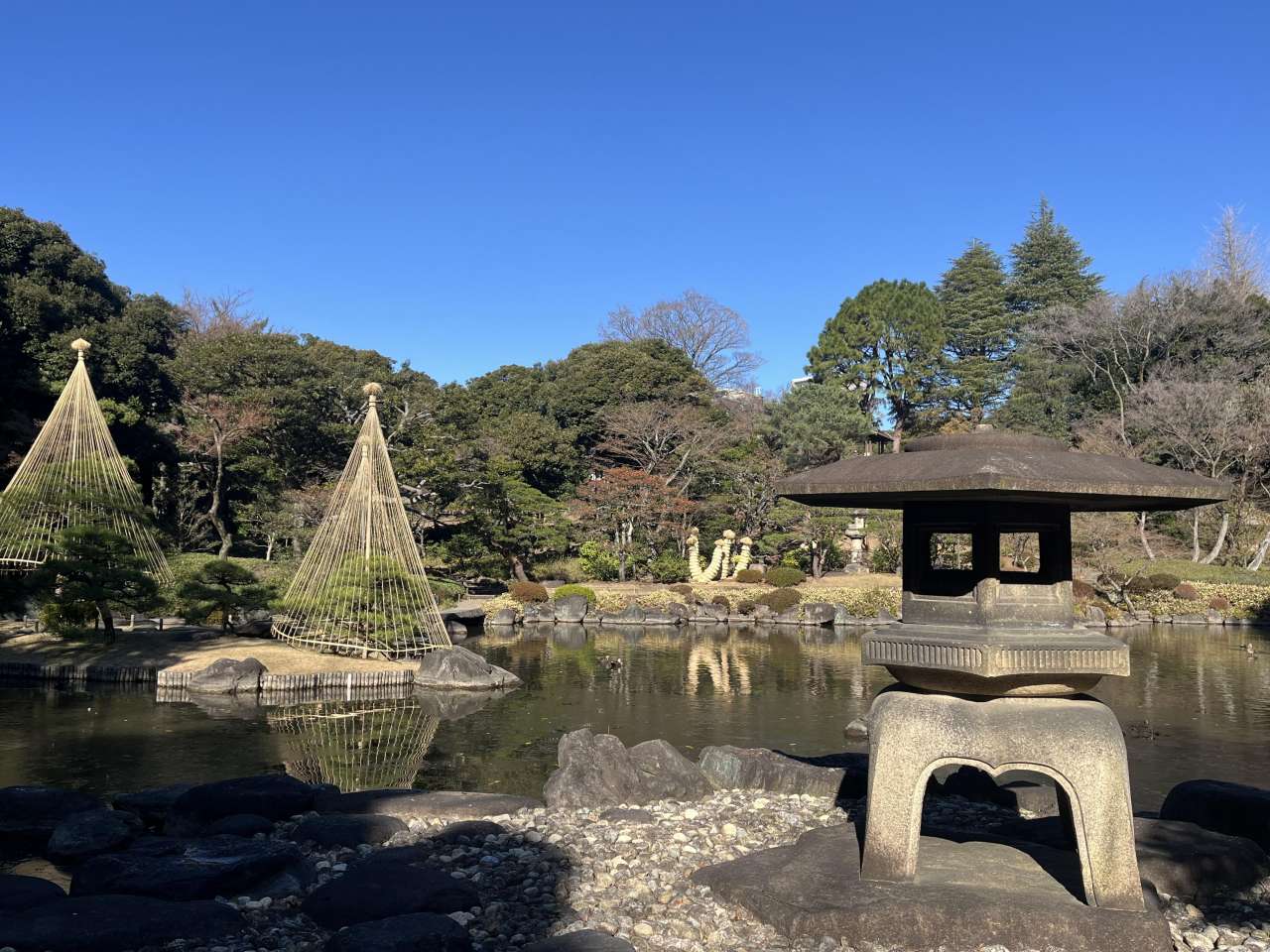 旧古河庭園251228日本庭園 (3)