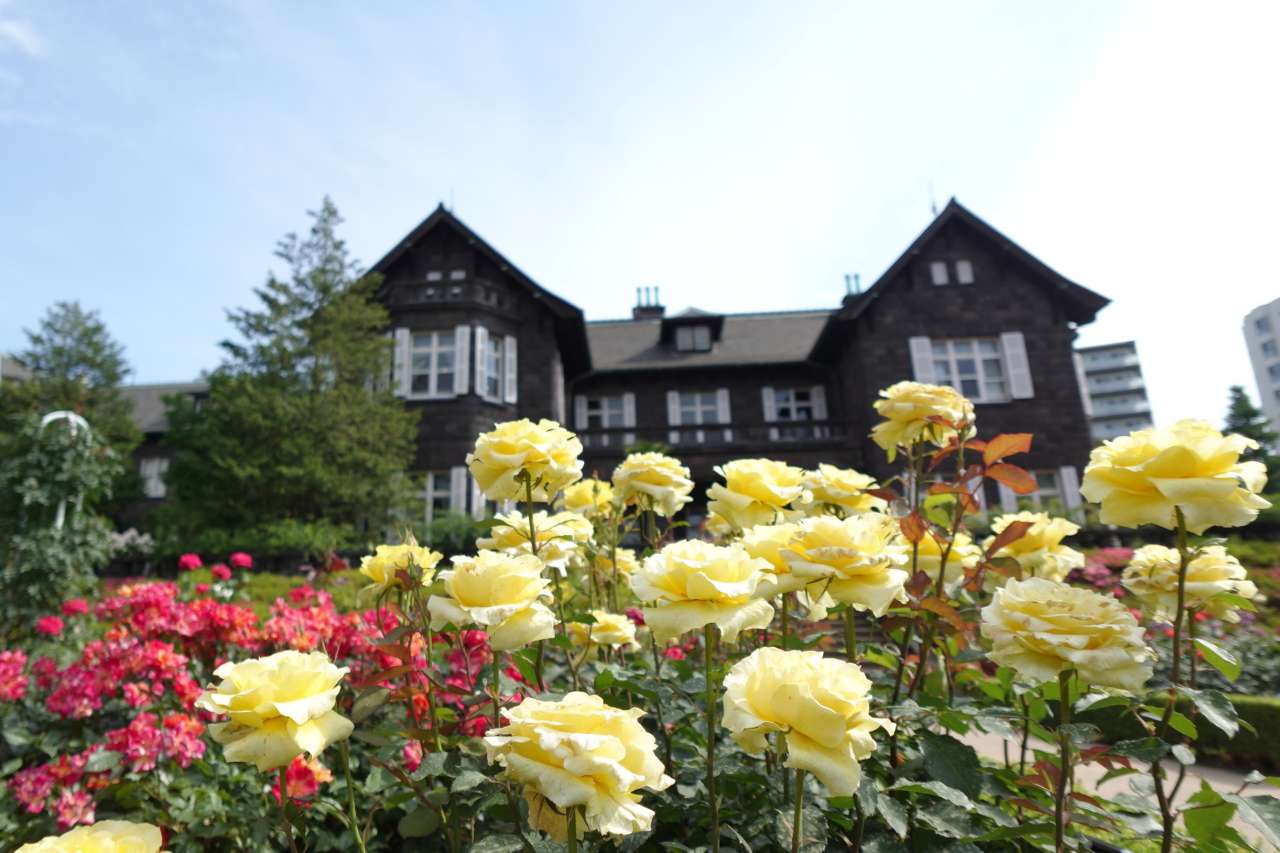 旧古河庭園260520バラ園と洋館