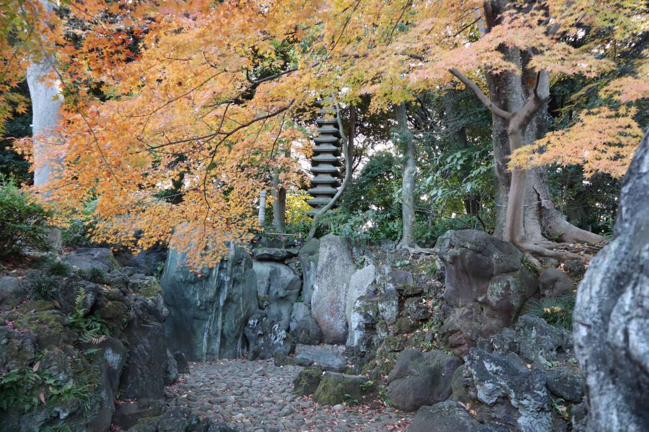 枯滝付近の紅葉