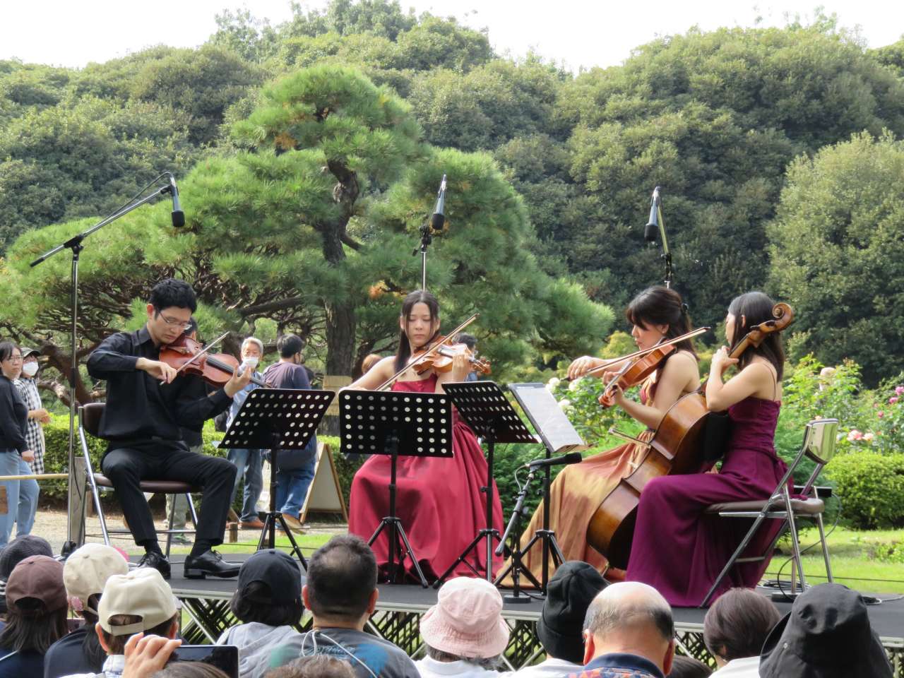 20231105_旧古河庭園_秋バラの音楽会 (13)