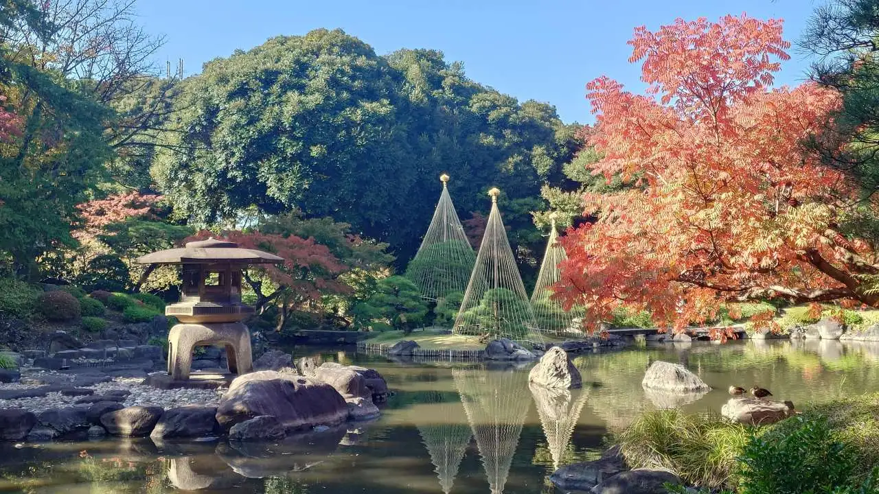 旧古河庭園251114日本庭園