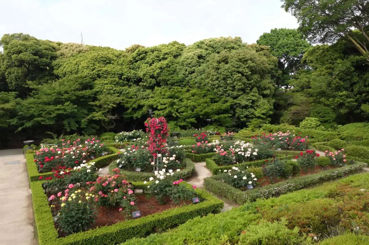 DSC02982
