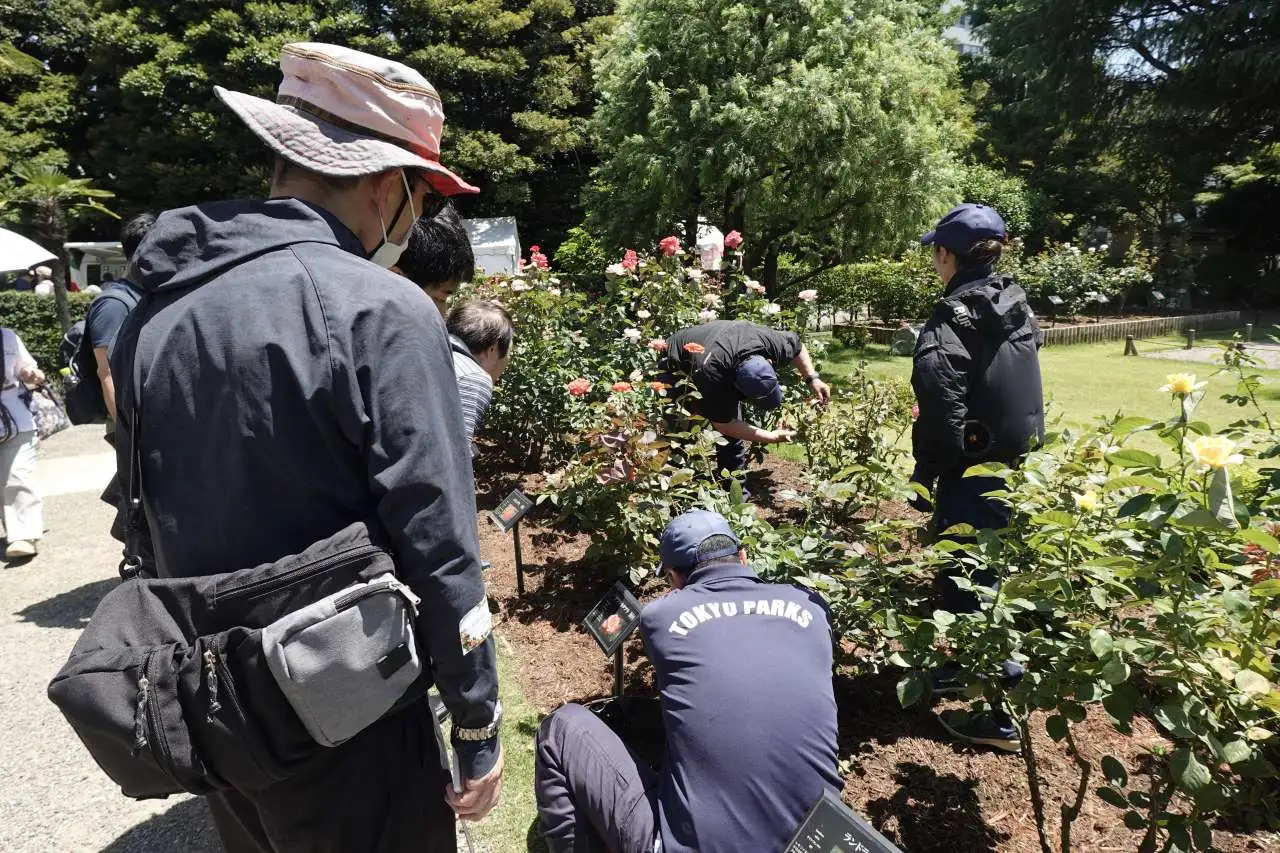 伝統技能見学会