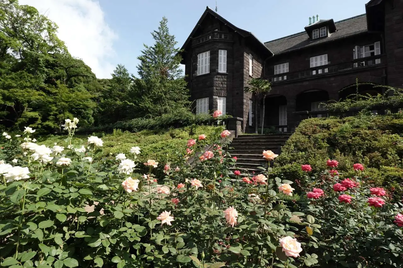 バラ園の様子（下段より・6月27日撮影）