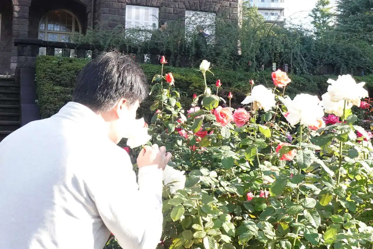 庭さんぽ
