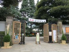旧古河庭園160102 (正月開園) (1)小-thumb-240xauto-102693