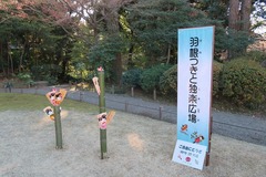 旧古河庭園190103羽根つきと独楽広場(4)-thumb-240xauto-110312