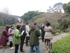 旧古河庭園230219親方と歩こう①(15)-thumb-240xauto-111308