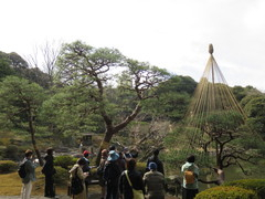 旧古河庭園230219親方と歩こう②(22)-thumb-240xauto-111306