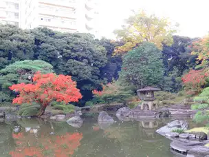 旧古河庭園221104二枚橋から(1)_04