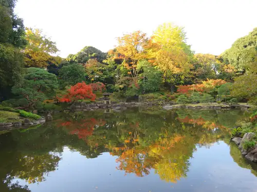 旧古河庭園221104大滝から(18)_05