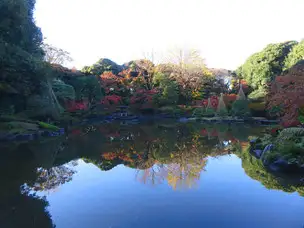 旧古河庭園221124大滝から(10)_03
