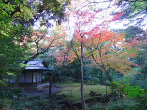 旧古河庭園221124茶庭(1)_04