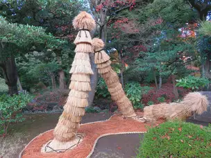 旧古河庭園221204ソテツの霜よけ(2)_03