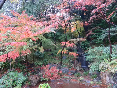 旧古河庭園221206大滝(4)_05