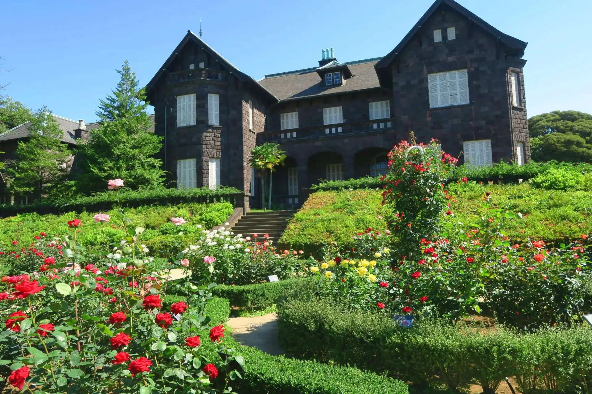 6月25日　バラの開花状況【春バラ90種類開花　二番花が見頃です】_05