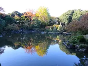 16日の紅葉・バラの状況【紅葉色づき始め、イチョウ黄葉一部見頃／バラ82種開花で見頃】_01