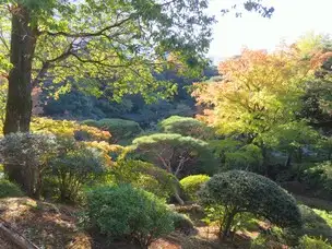 展望台_02