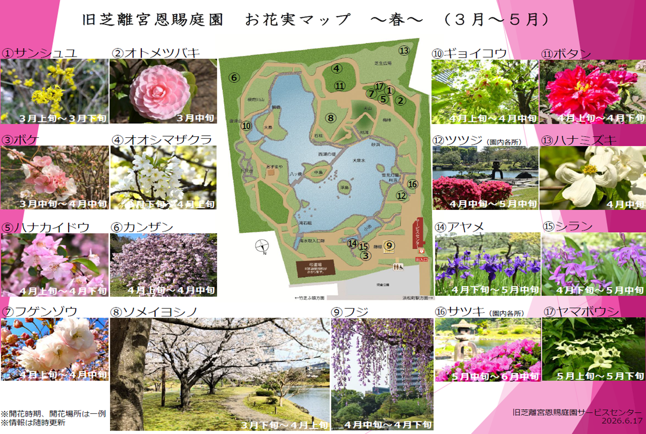 お花実マップサムネ