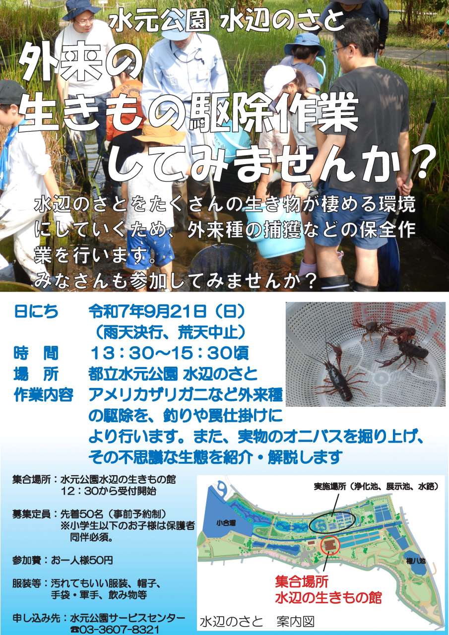 ザリガニ駆除イベントお知らせ2025版
