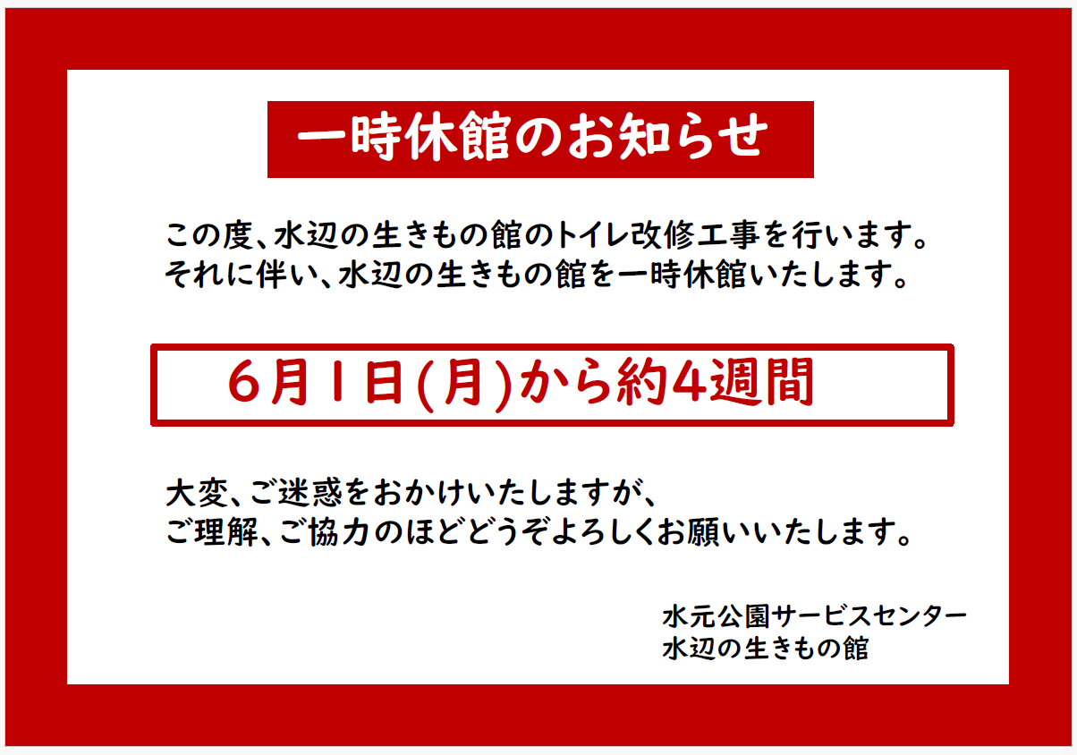 生きもの館工事 2026-05-18 170858