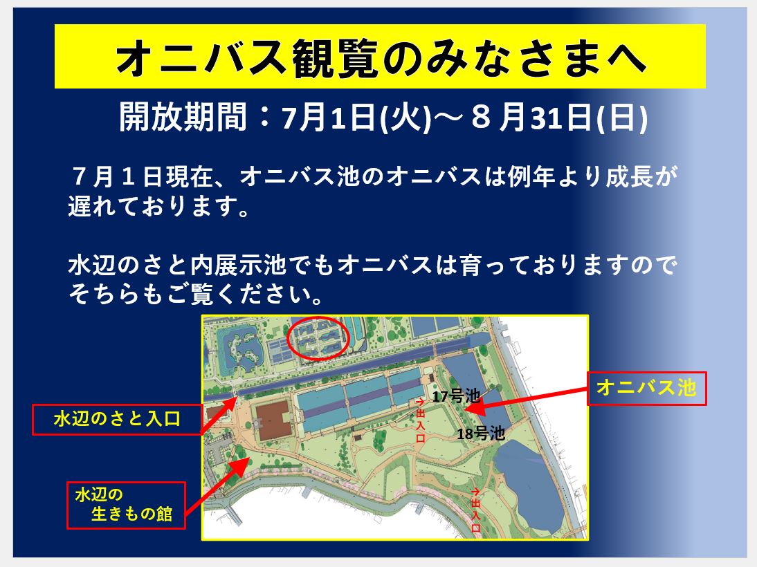 2キャプチャ