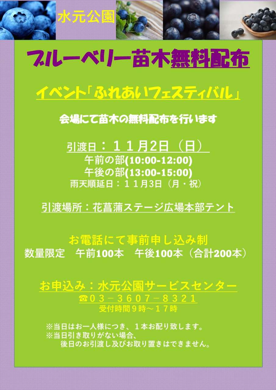 R7 ブルーベリー