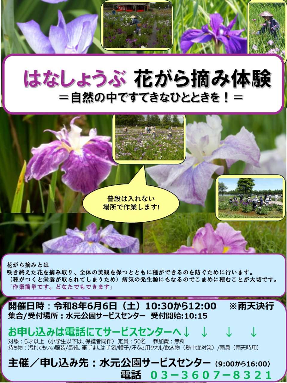 R8花柄摘みポスター