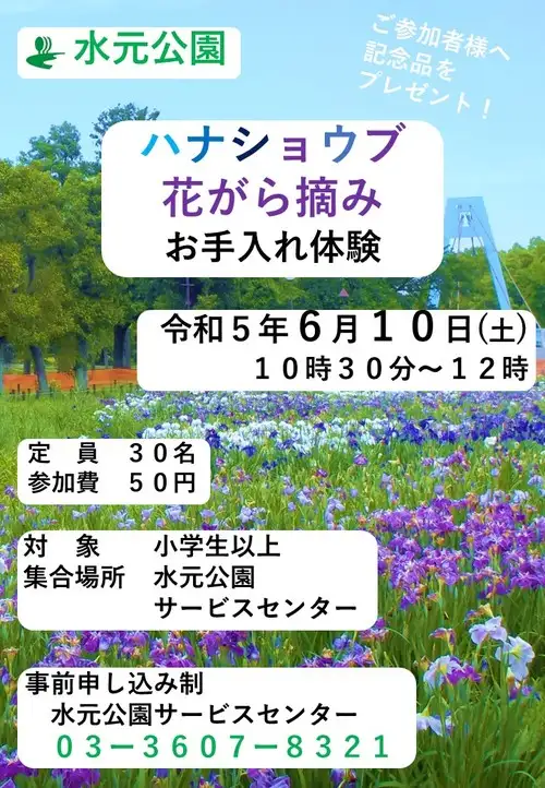ハナショウブ花柄_05