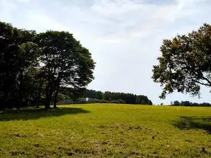水元公園221011中央広場2_03