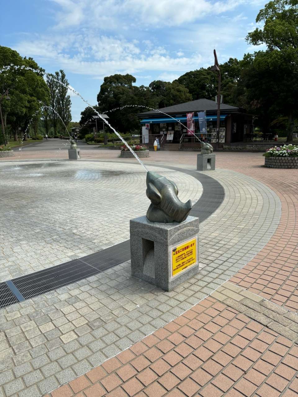 水元公園230715噴水広場開放 (10)