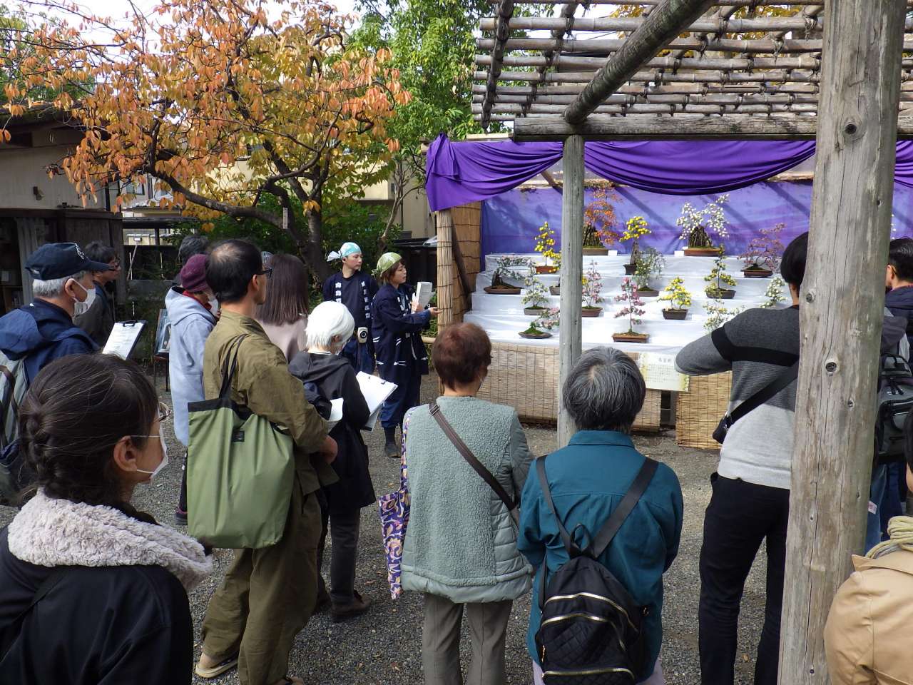 向島百花園231123庭さんぽ (18)
