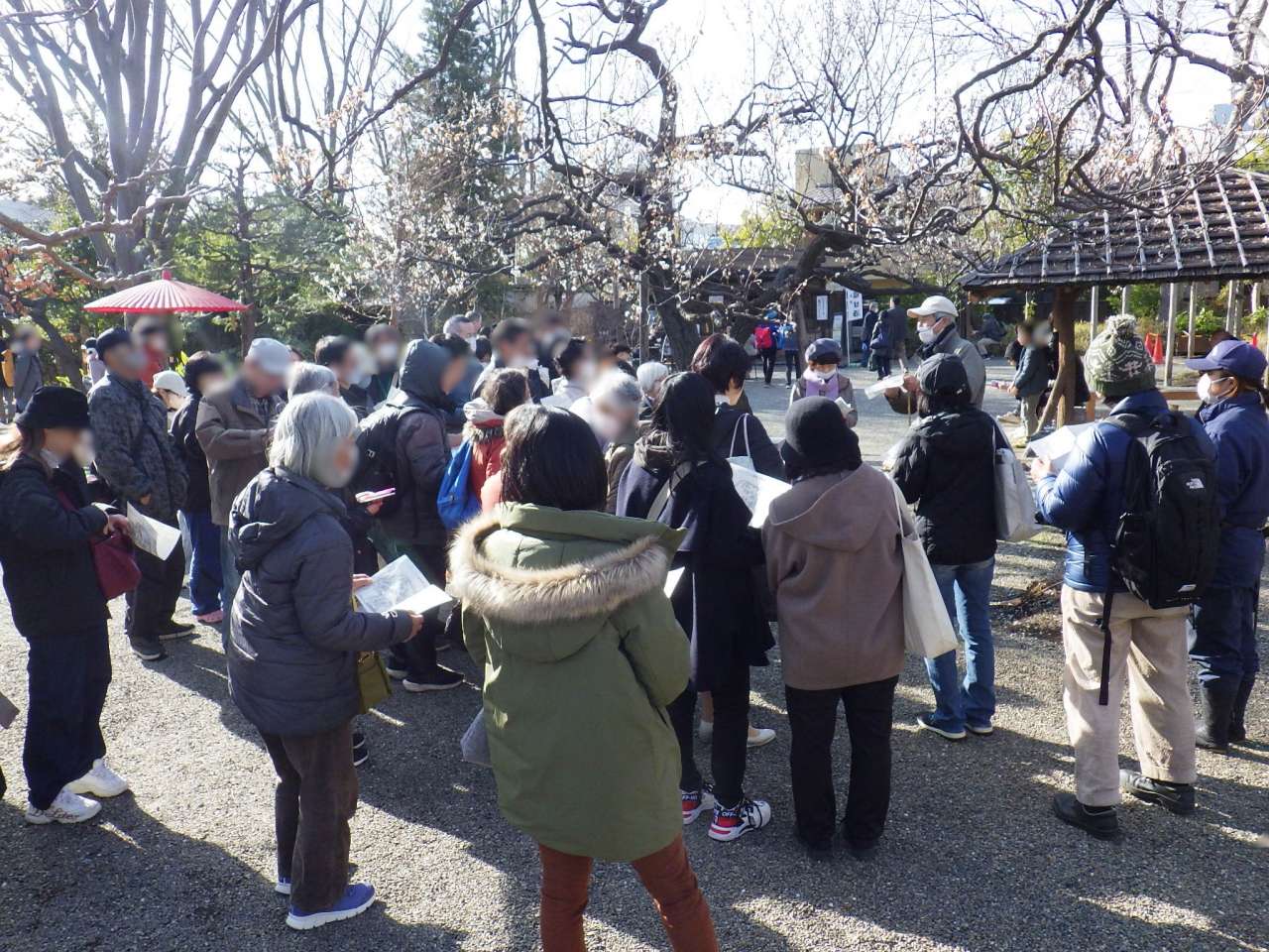 向島百花園240224野草ウオッチング (29)
