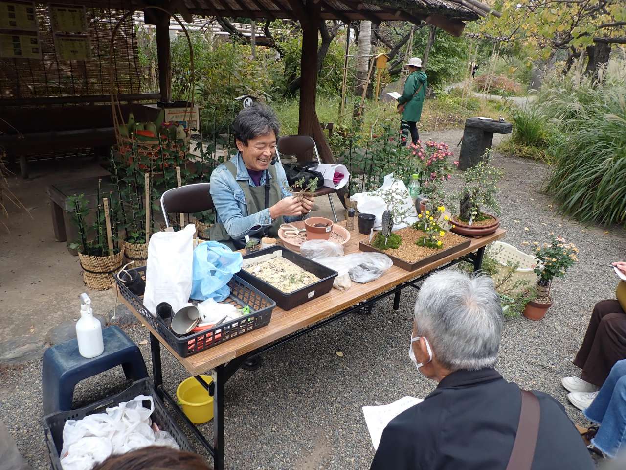 向島百花園241110菊盆栽の育て方教室 (3)