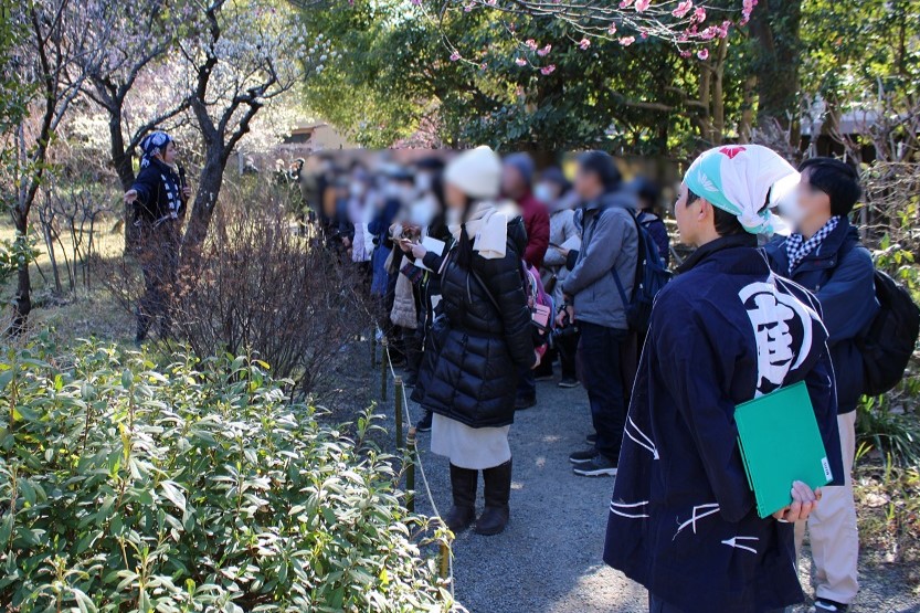 向島百花園250223庭さんぽ (11)
