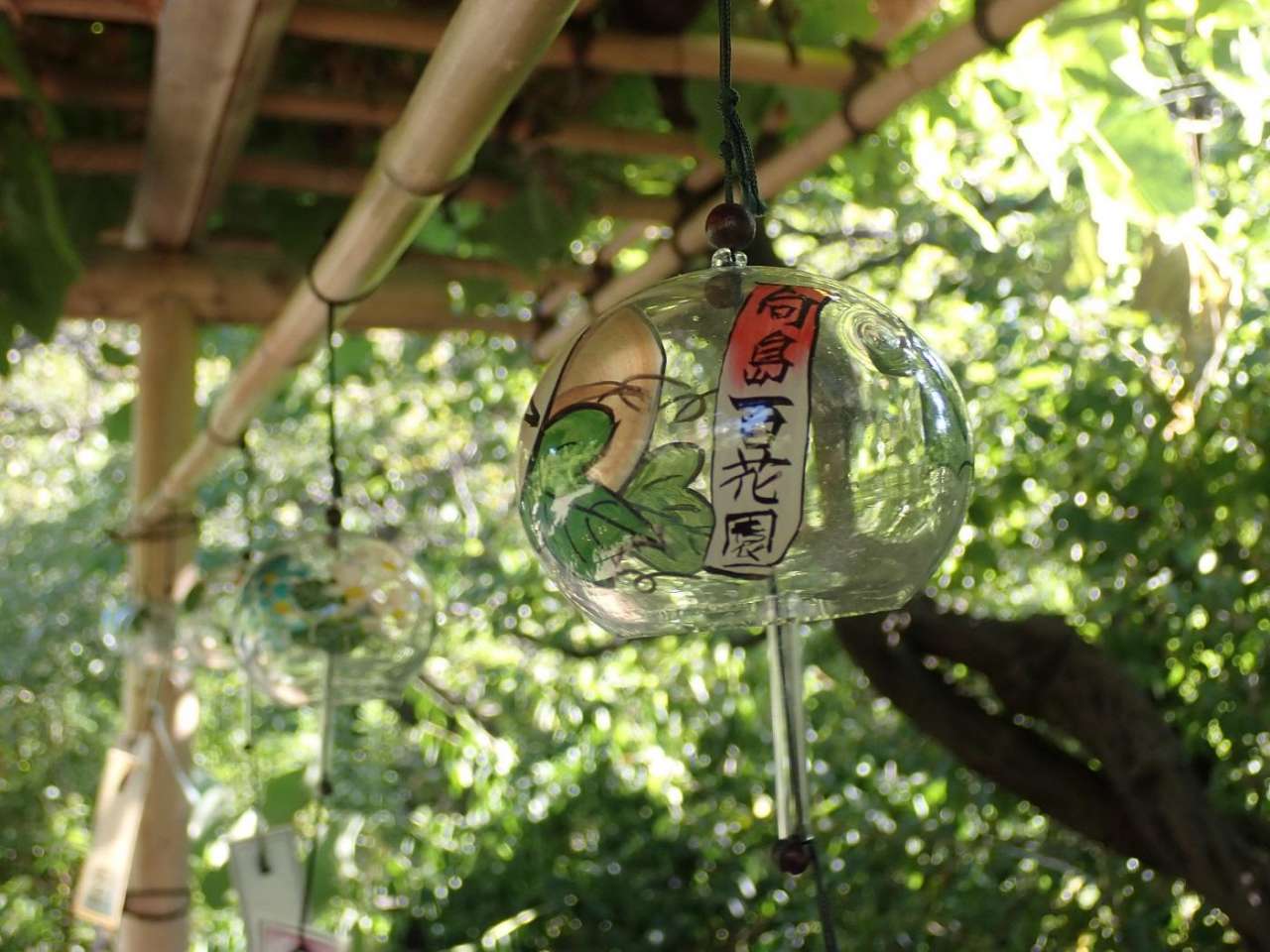 向島百花園250731江戸風鈴