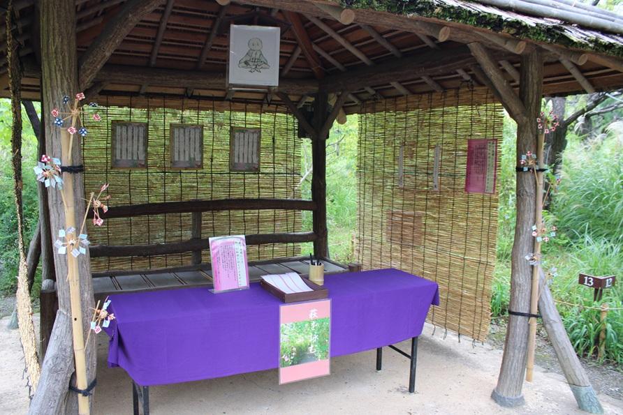 向島百花園250914萩を詠む設営 (1)