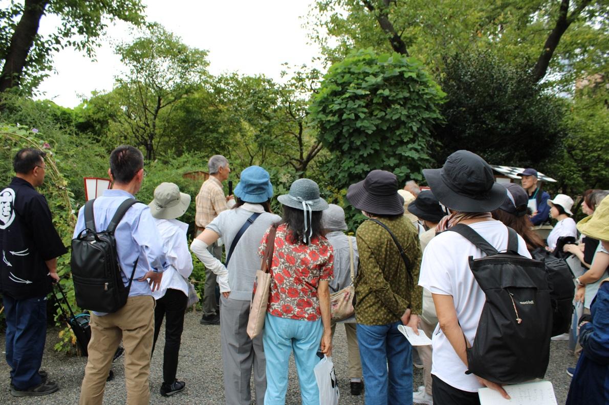 向島百花園250920野草ウォッチング (9)