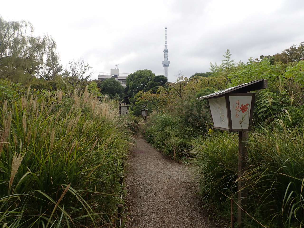 庭園