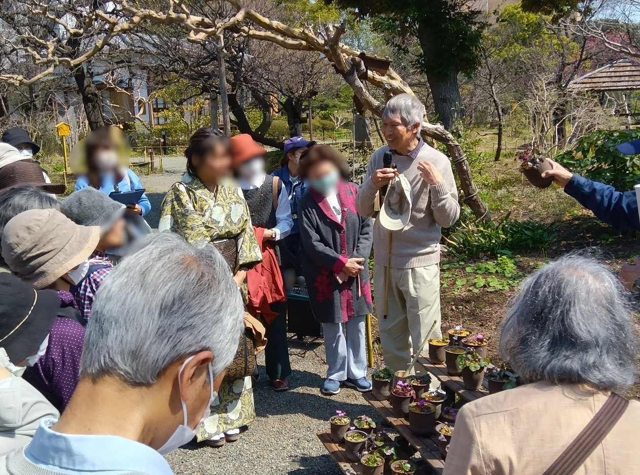 2向島百花園250322野草ウォッチング (2)