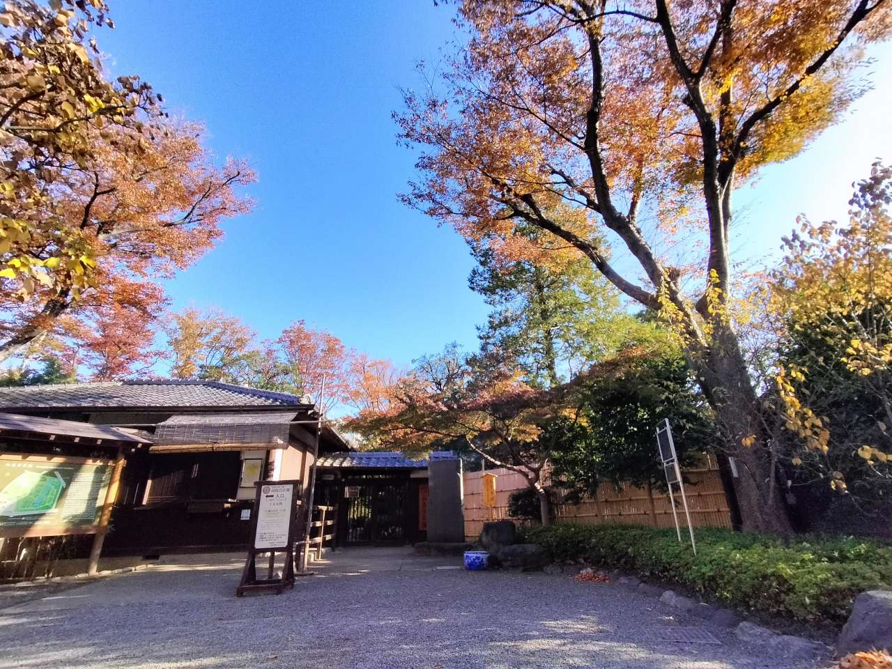 231128 (3)