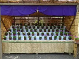 【終了しました】さくらそうの展示_02