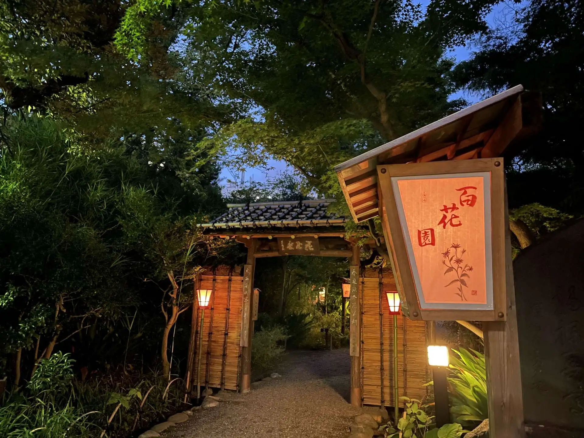 【終了しました】『虫ききの会』開催のお知らせ_01