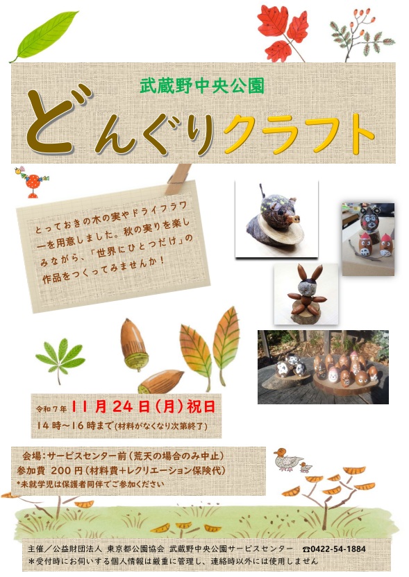 どんぐり