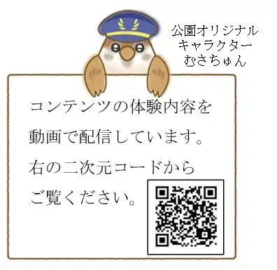 ar-youtube-qr